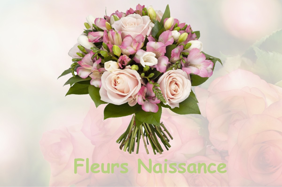 fleurs naissance VILLENAUXE-LA-GRANDE