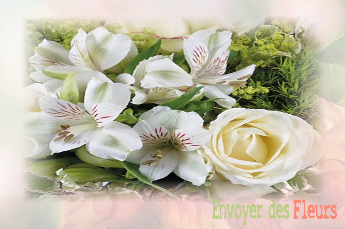 envoyer des fleurs à à VILLENAUXE-LA-GRANDE
